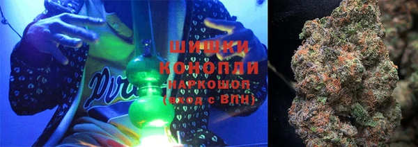 сатива Баксан