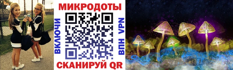 Галлюциногенные грибы Magic Shrooms  купить закладку  Лебедянь 